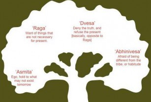 Sabia que há 5 grandes causas para a dor? Conheça-as&nbsp;aqui.