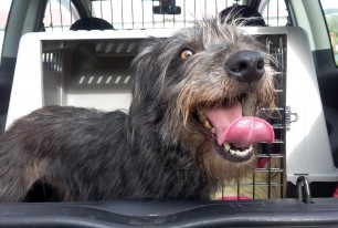 O Natal, como o Yoga, é de&nbsp;todos!