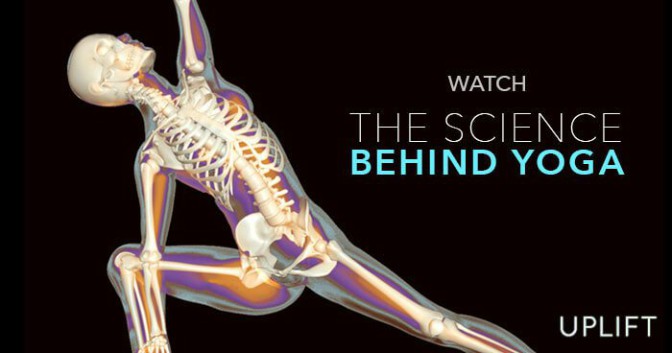 The Science behind&nbsp;Yoga