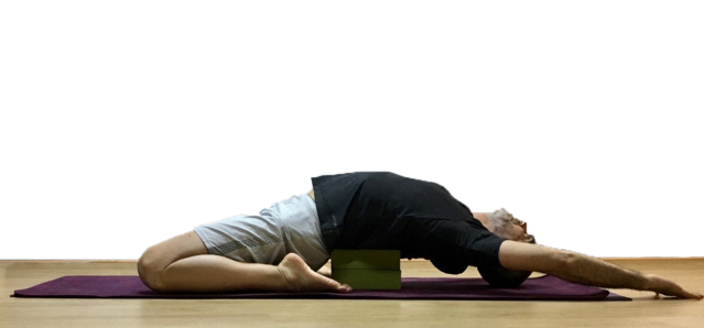 Curso de Prof. em Hatha Yoga Funcional&nbsp;10ªEdição