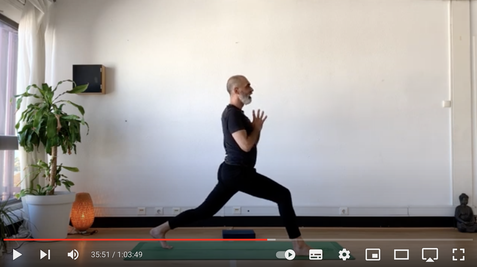 Grátis! Prática de Hatha Yoga Funcional #11 Flow 60&nbsp;minutos