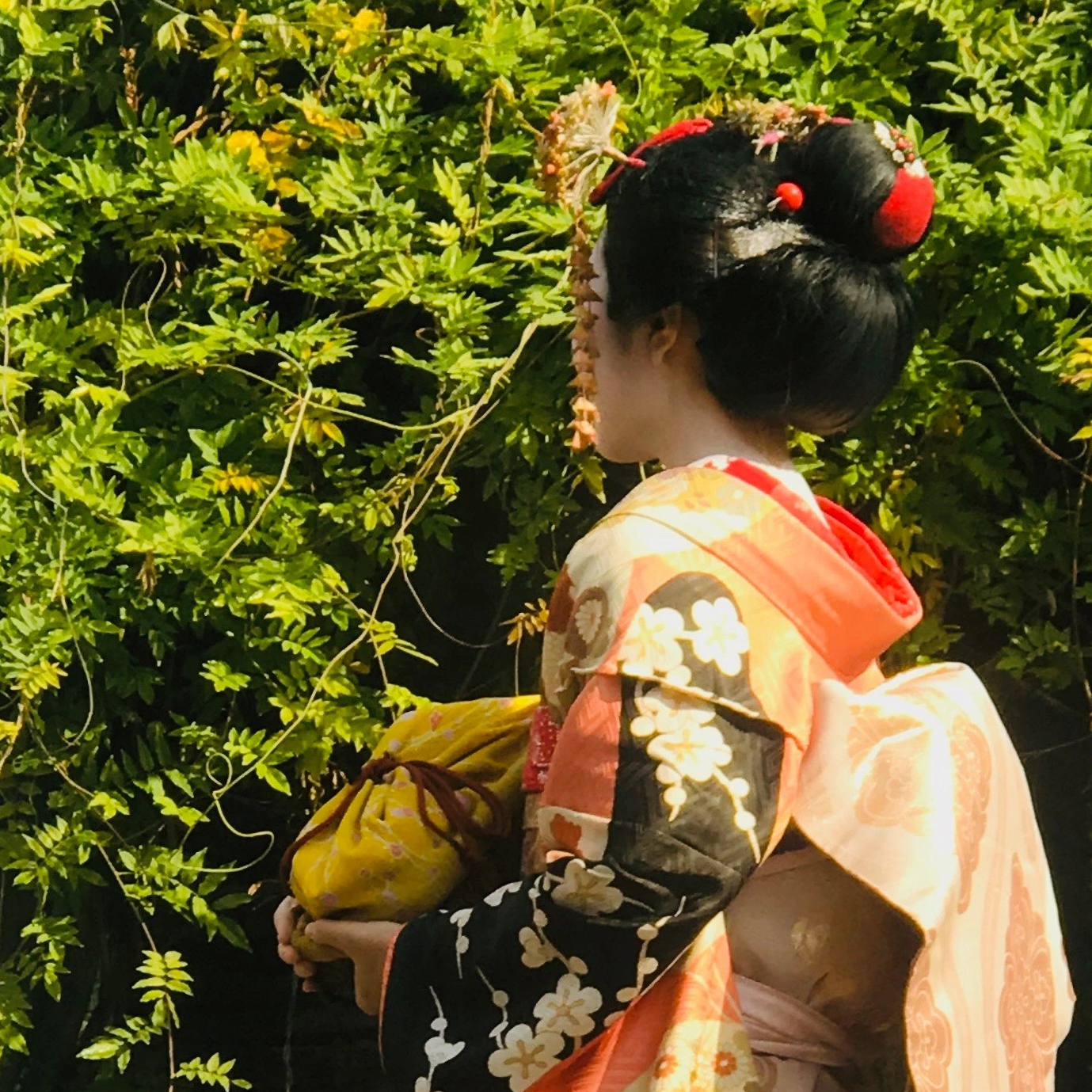 Quioto e a magia das&nbsp;Gueixas