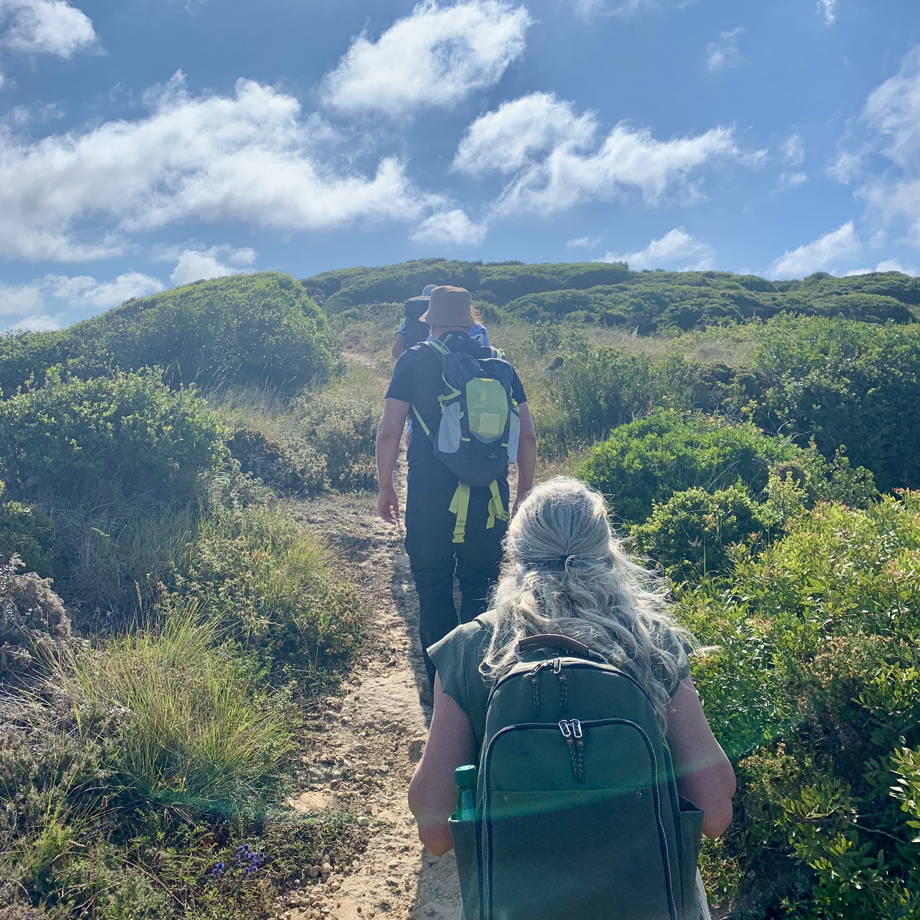 A Arte de Abrandar: À Descoberta dos Princípios do Slow&nbsp;Living